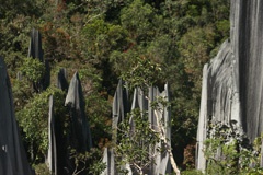 IMG_3608a.jpg